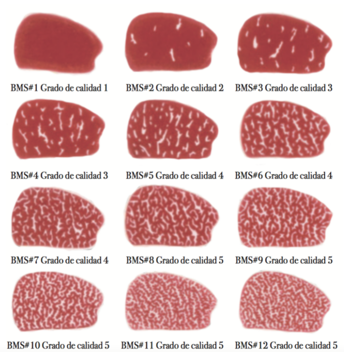 WAGYU GRADING SYSTEM – The Gourmet Market