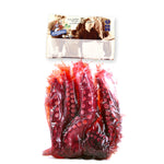 4 Octopus Cooked Leg Small. +/- 120Gr